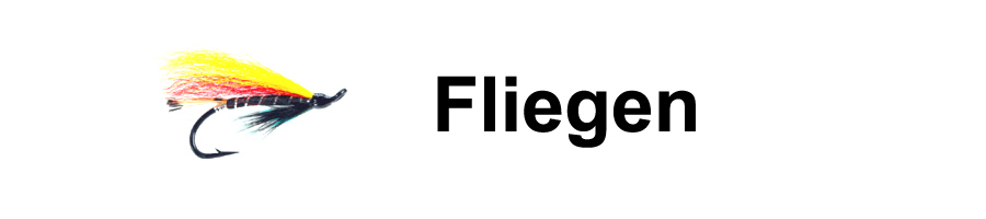 Fliegen