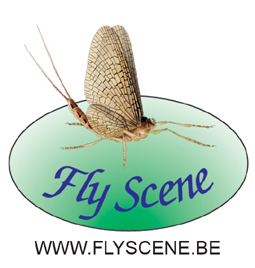 Fly Scene