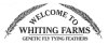 Whiting Farms