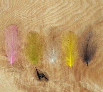 CDC Federn 90 Stück 19 Farben zur Auswahl