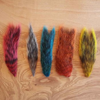 Grey Squirrel Tails Mix Eichhörnchen Schwänze Farbmix