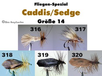 Caddis Sedge Köcherfliegen in der gängigen Größe 14