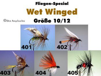 Wet Winged Gr.10/12 (5 Sorten zur Auswahl)