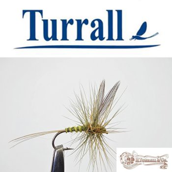 Turrall No.01 Medium Olive Dun #16 Special European Dry -Eine klassische, traditionelle Trockenfliege aus England-
