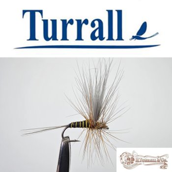 Turrall No.05 Dark Olive Imago in Größe 16 Special European Dry -Eine klassische, traditionelle Trockenfliege aus England-