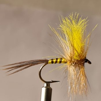 CDC Maifliege Gelb