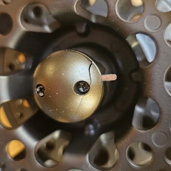 B-Ware Quantum QFR Large Arbor 7/8 Die Fliegenrolle zum Hechtfischen