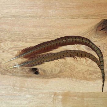 Veniard Pheasant Centre Tails Fasanenstoßfedern 2 Stück