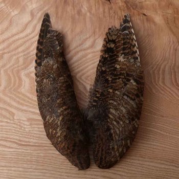 Veniard Woodcock Wings Waldschnepfen-Flügel