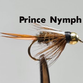 Heavy-Tungsten-Nymph Gr.10 mit schwerer 4,6mm Tungsten-Perle