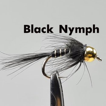 Heavy-Tungsten-Nymph Gr.10 mit schwerer 4,6mm Tungsten-Perle