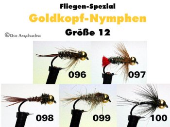 Goldkopfnymphen Größe 14
