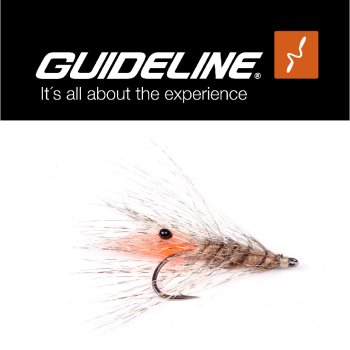 Laser Shrimp #6 Meerforellenfliege by Guideline