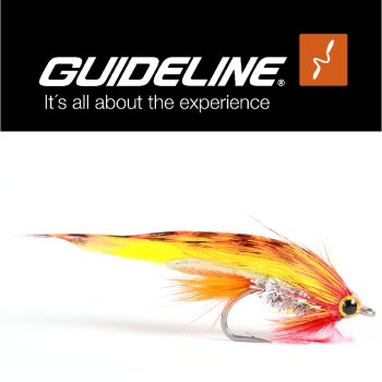 Mickey Finn Zonker #4 Meerforellenfliege by Guideline