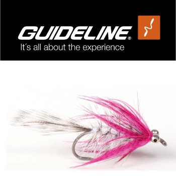 Polar Magnus #8 Meerforellenfliege by Guideline