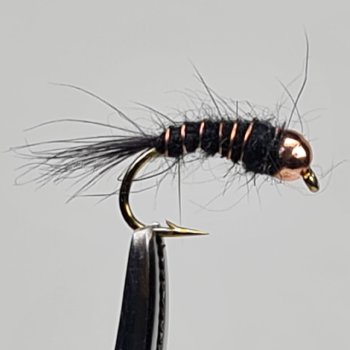 Tungsten BL Nymph Black mit Widerhaken Gr.8