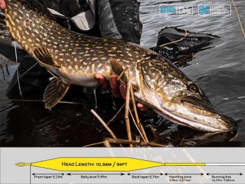 ArcticSilver Beast Classic Pike Flyline Die Hecht-Fliegenschnur