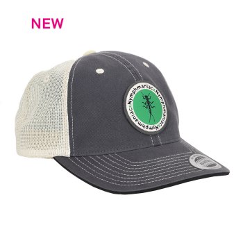 Vision Cap Nymphmaniac DAD Ash Kappe