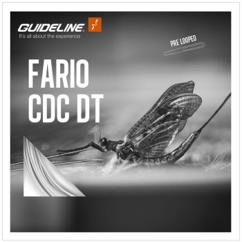 Guideline Fario CDC DT Floating Double Tapered Line Fliegenschnur