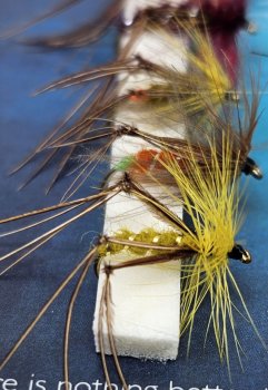 Turrall Stillwater Hopper/Dries Trockenfliegen- und Hopper-Set FinestFishingFlies