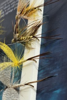 Turrall May Flies Selection Maifliegen-Kollektion FinestFishingFlies