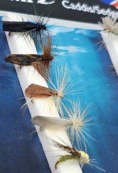 Turrall Caddis / Sedge Die Köcherfliegen-Kollektion FinestFishingFlies