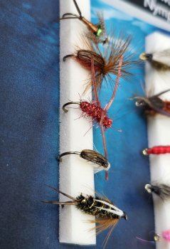 Turrall Stillwasser Nymps Selection Stillwasser-Nymphen FinestFishingFlies