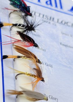 Turrall Scottish Loch Selection Nassfliegen für die Schottischen Gewässer FinestFishingFlies