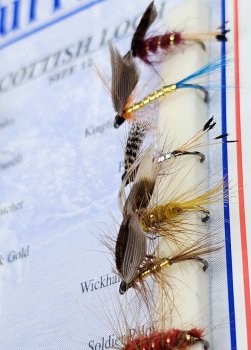 Turrall Scottish Loch Selection Nassfliegen für die Schottischen Gewässer FinestFishingFlies