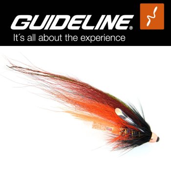 Guideline Bhatakorva Lachs-Tubenfliege