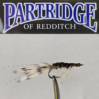 Partridge Sea Shrimp Größe 8 Meerforellenfliege