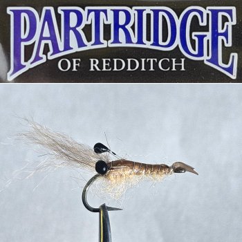 Partridge Prawn Shrimp Größe 8 Garnelenmuster / Meerforellenfliege
