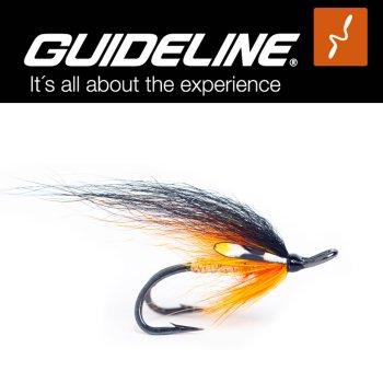 Guideline TS Willy Gunn Double #6 Lachs-Fliege auf Doppelhaken