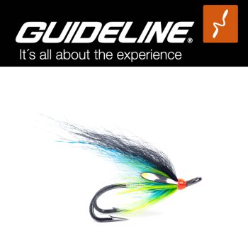 Guideline TS Clear Water Double #6 Lachs-Fliege auf Doppelhaken