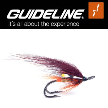 Guideline TS Pahtakorva Double #6 Lachsfliege auf Doppelhaken