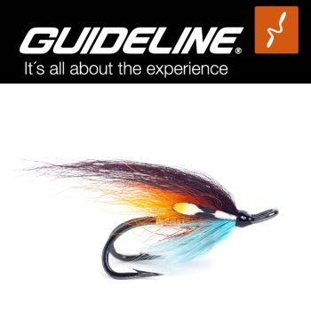 Guideline TS The Usual Double #6 Lachsfliege auf Doppelhaken