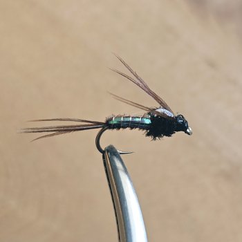Pheasant Tail Flashback Nymph Fasanenstoß-Nymphe Subsurface