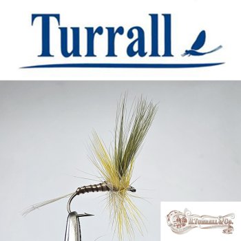 Turrall No.21 Yellow May Dun in Größe 12 Special European Dry -Eine klassische, traditionelle Trockenfliege aus England-