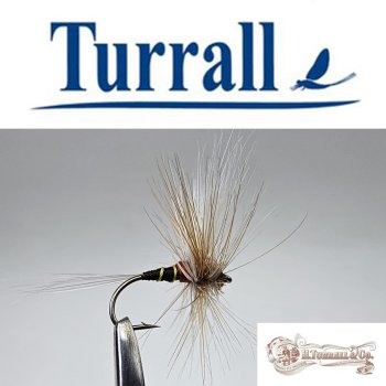 Turrall No.20 Heptagenia Fuscorgrisea in Größe 12 Special European Dry -Eine klassische, traditionelle Trockenfliege aus England-