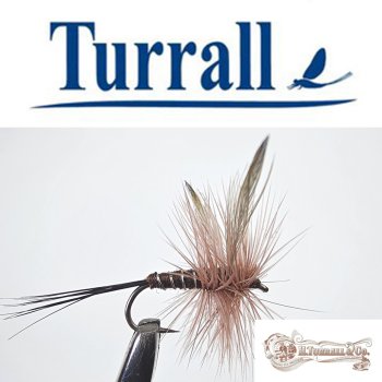 Turrall No.13 Claret Dun in Größe 16 Special European Dry -Eine klassische, traditionelle Trockenfliege aus England-