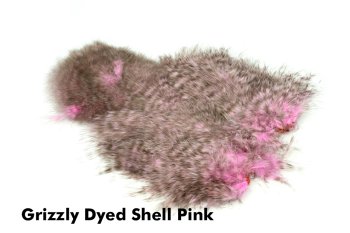 Whiting Spey SH/C Grizzly -Soft Hackle and Chickabou-