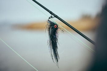 Guideline Embrace PREDATOR Fly Fishing Outfit #9 9FT Das Hecht-Fliegenfischer-Set mit den 6 fängigen Gratishechtfliegen in einer praktischen Fliegenbox.