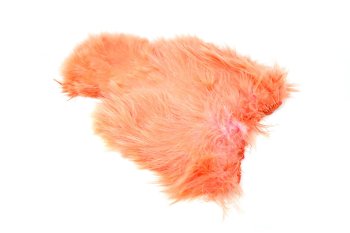 Whiting Spey SH/C White dyed Salmon -Soft Hackle and Chickabou-
