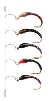 Profi Hegene HG06 WEISSENSEE Weinrot/Schwarz/Violett/Schwarz/Braun