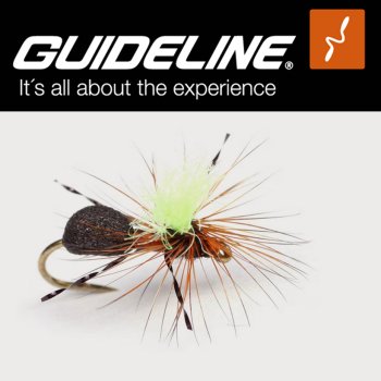 Guideline High-Viz Rufa Ant #14 Die verführerische, rote Wald-Ameise