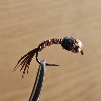 Tungsten BL Pheasent Tail Nymph