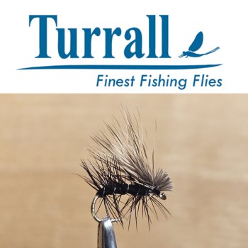 Elk Hair Caddis Sedge Gr.14 Black Traditionelle Trockenfliege von Turrall (England) Sonderpreis nur für kurze Zeit.
