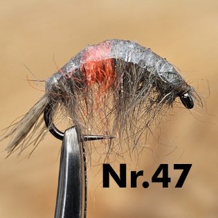 Tungsten Body Gammarus Pulex in Größe 8 Die extrem tieflaufenden Bachflohkrebse