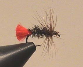 AS Dry Fly Red Tag Gr.18