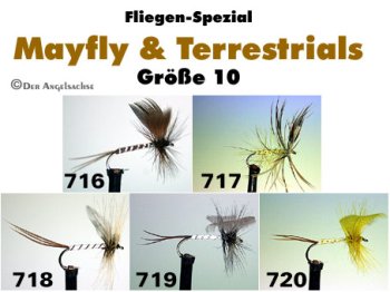 Turrall Mayflies Englische Maifliegen (6 Muster zur Auswahl)